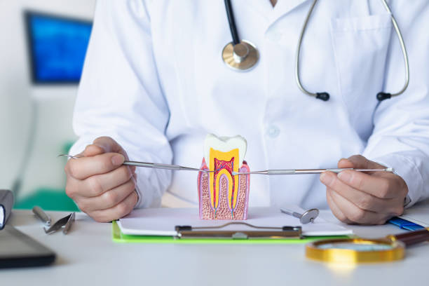 Best Pediatric Emergency Dentist in St Marys, PA